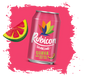 RUBICON PM 85P [24X330ML]