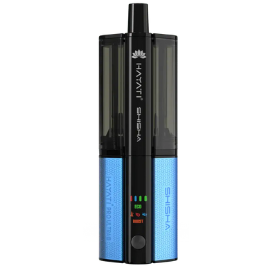 Raspberry kiwi fresh mist / kiwi orange mint