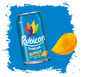 RUBICON PM 85P [24X330ML]